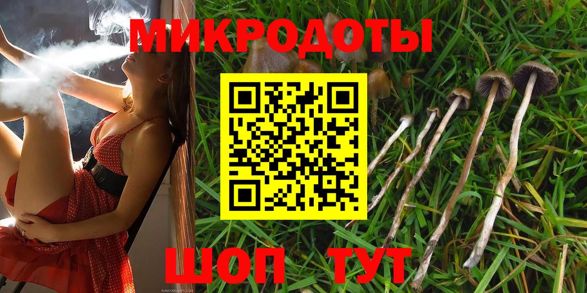 Галлюциногенные грибы прущие грибы Балашов